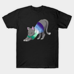 Gay cat stretching T-Shirt